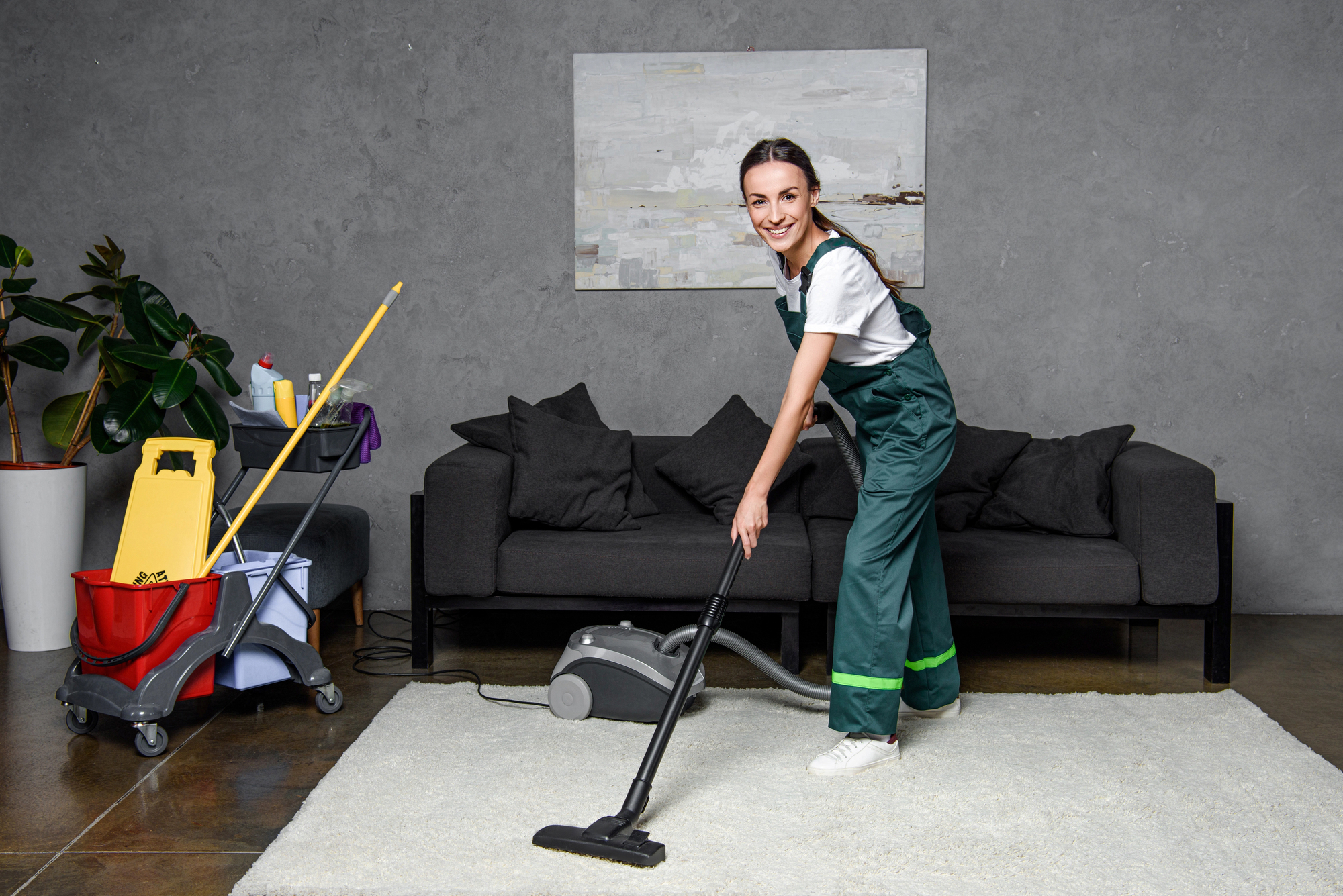 Professional Carpet Cleaning in Forest Hills