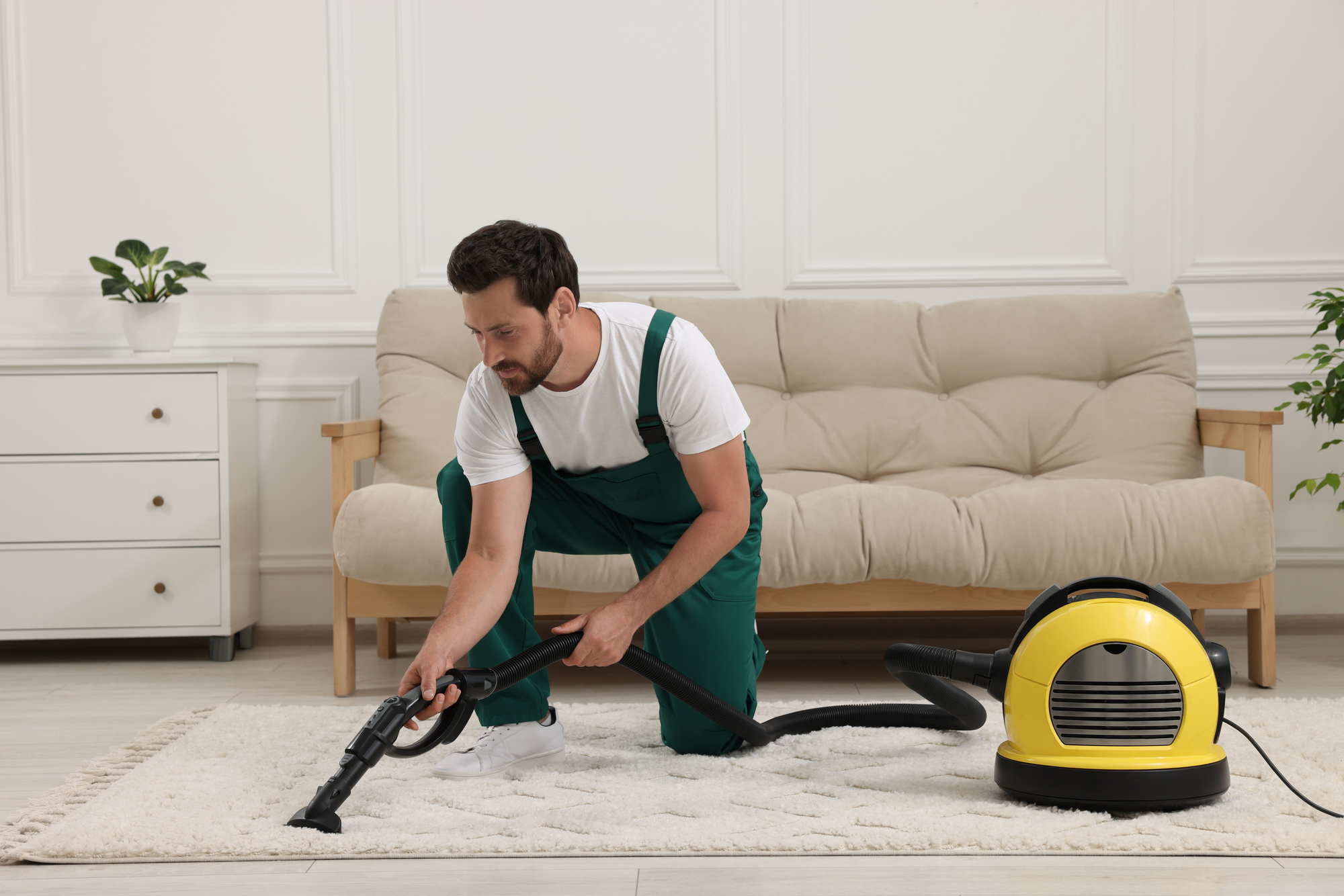 Upholstery Cleaning in Forest Hills