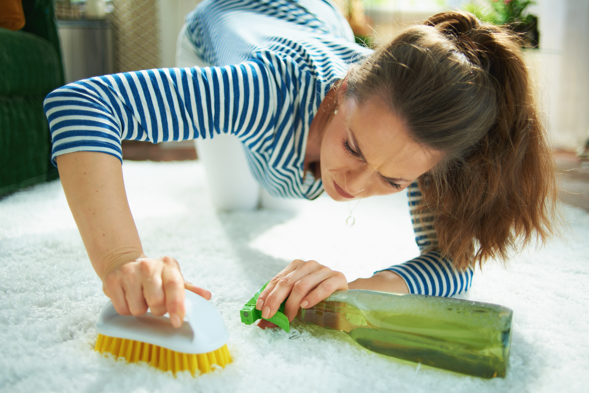 Stain & Odor Removal in Forest Hills