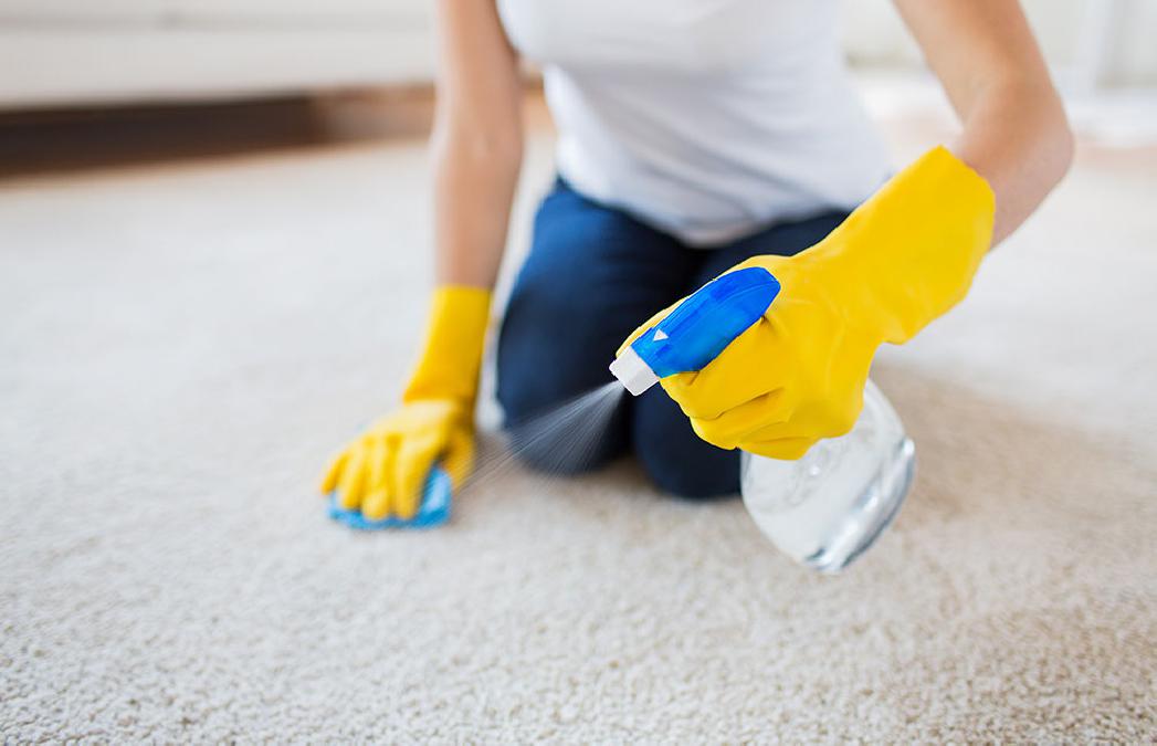 Deodorizing & Sanitizing in Forest Hills