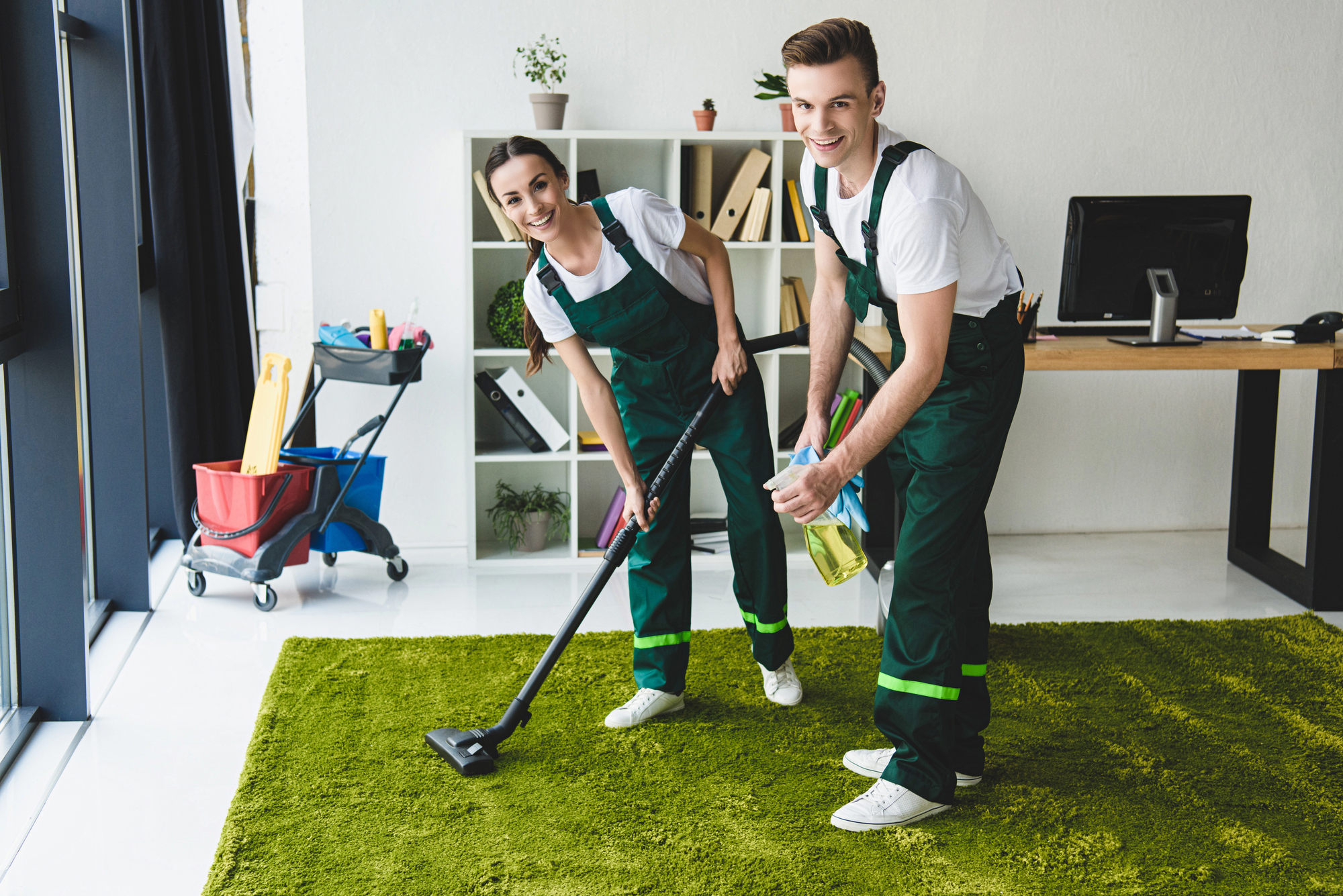 Stain & Odor Removal in Forest Hills